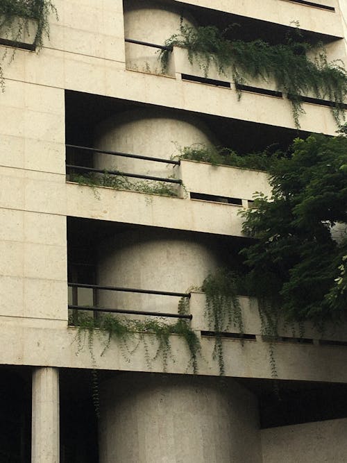 Photo D'un Bâtiment En Béton Avec Des Plantes Vertes Sur Le Balcon