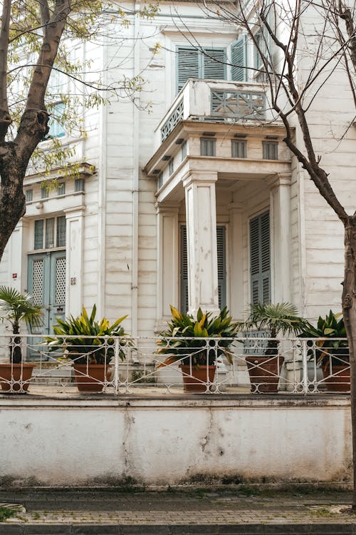 A white building with potted plants on the front