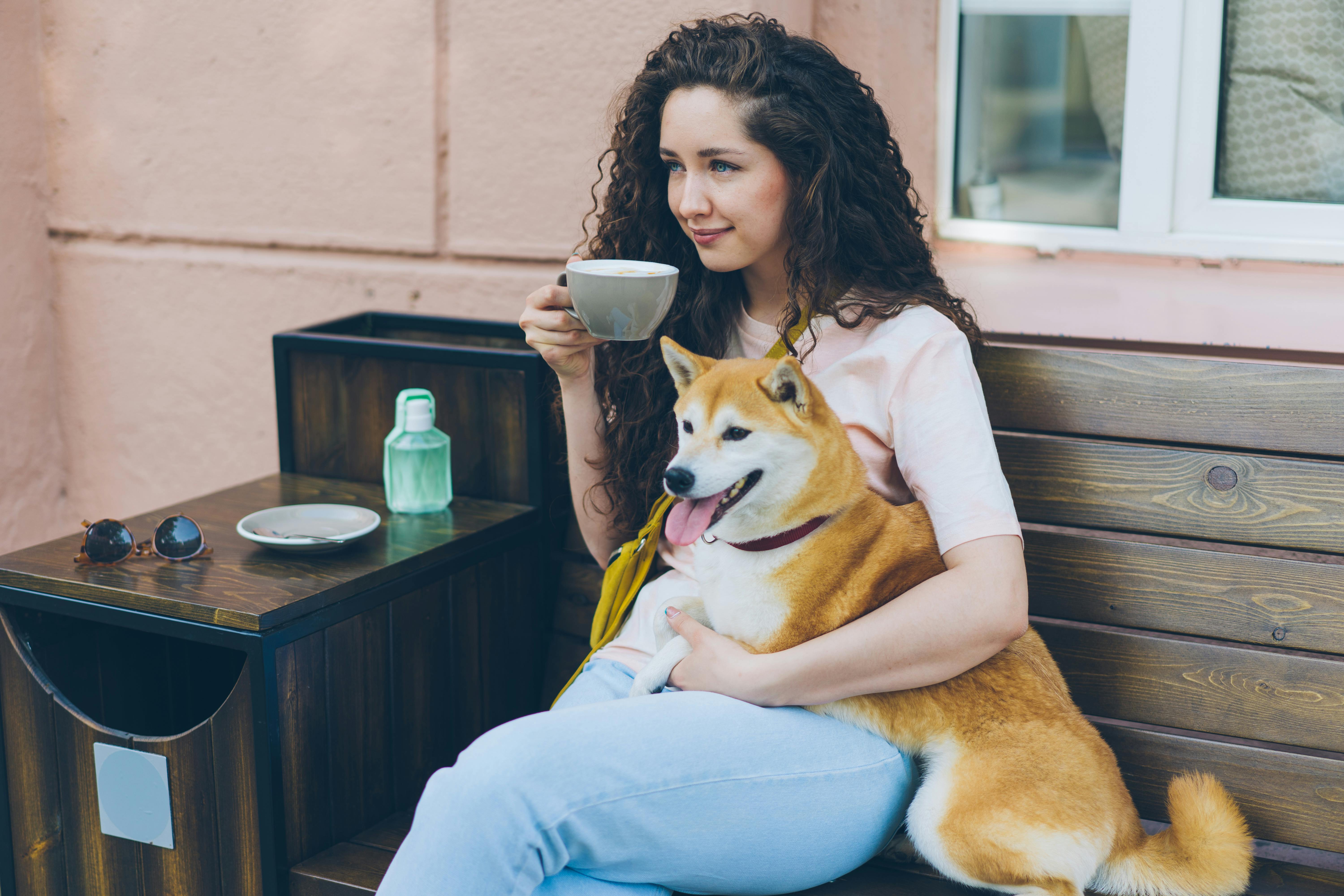 Young lady drinking tea hugging shiba inu dog outdoors in cafe sitting on bench