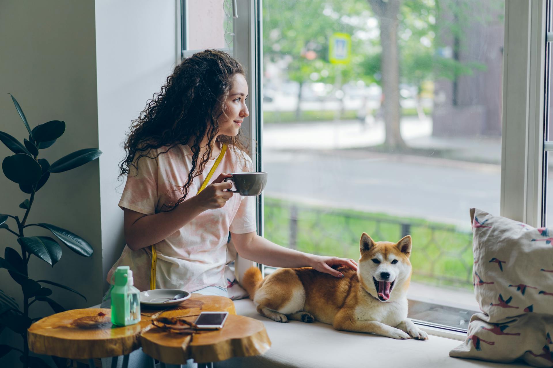 En kvinna sitter på fönsterbrädan i ett kafé med sin shiba-inu-hund