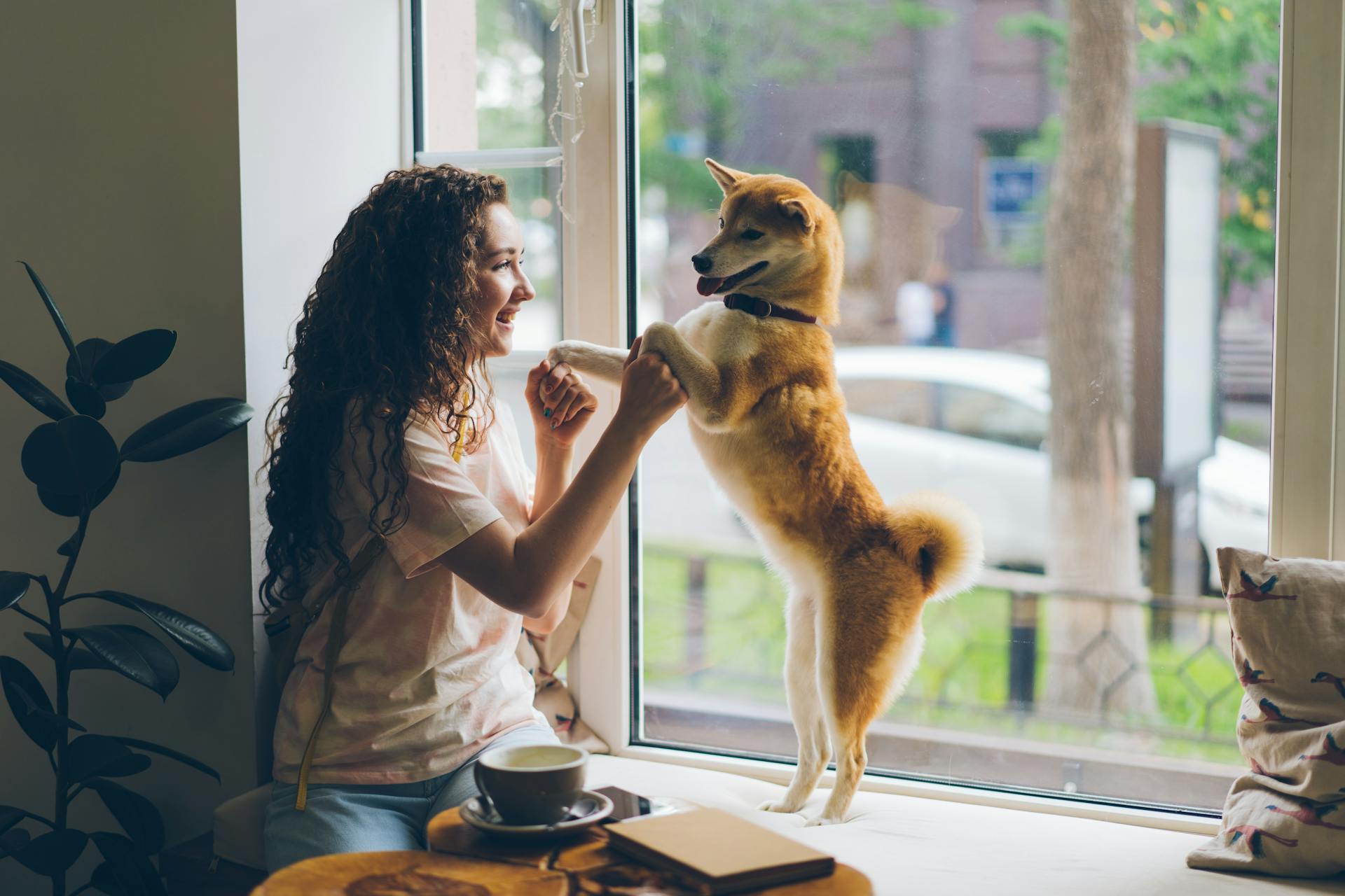 A Woman Playing with a Dog