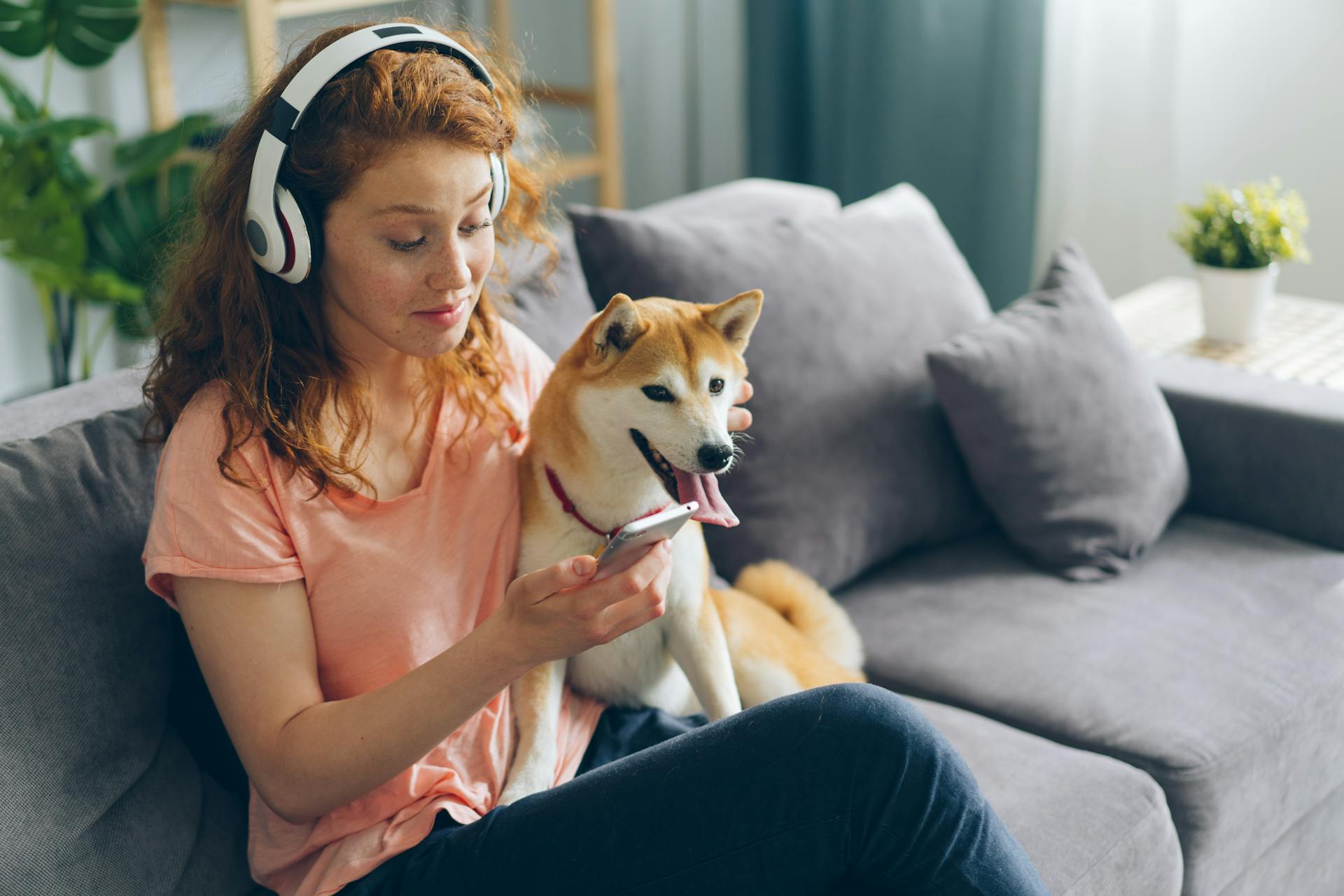 A Woman with Headphones Sitting on a Sofa with Her Shiba Inu Dog