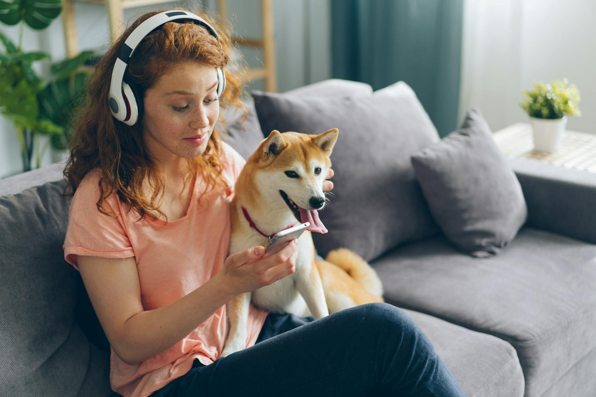 A Woman with Headphones Sitting on a Sofa with Her Shiba Inu Dog 