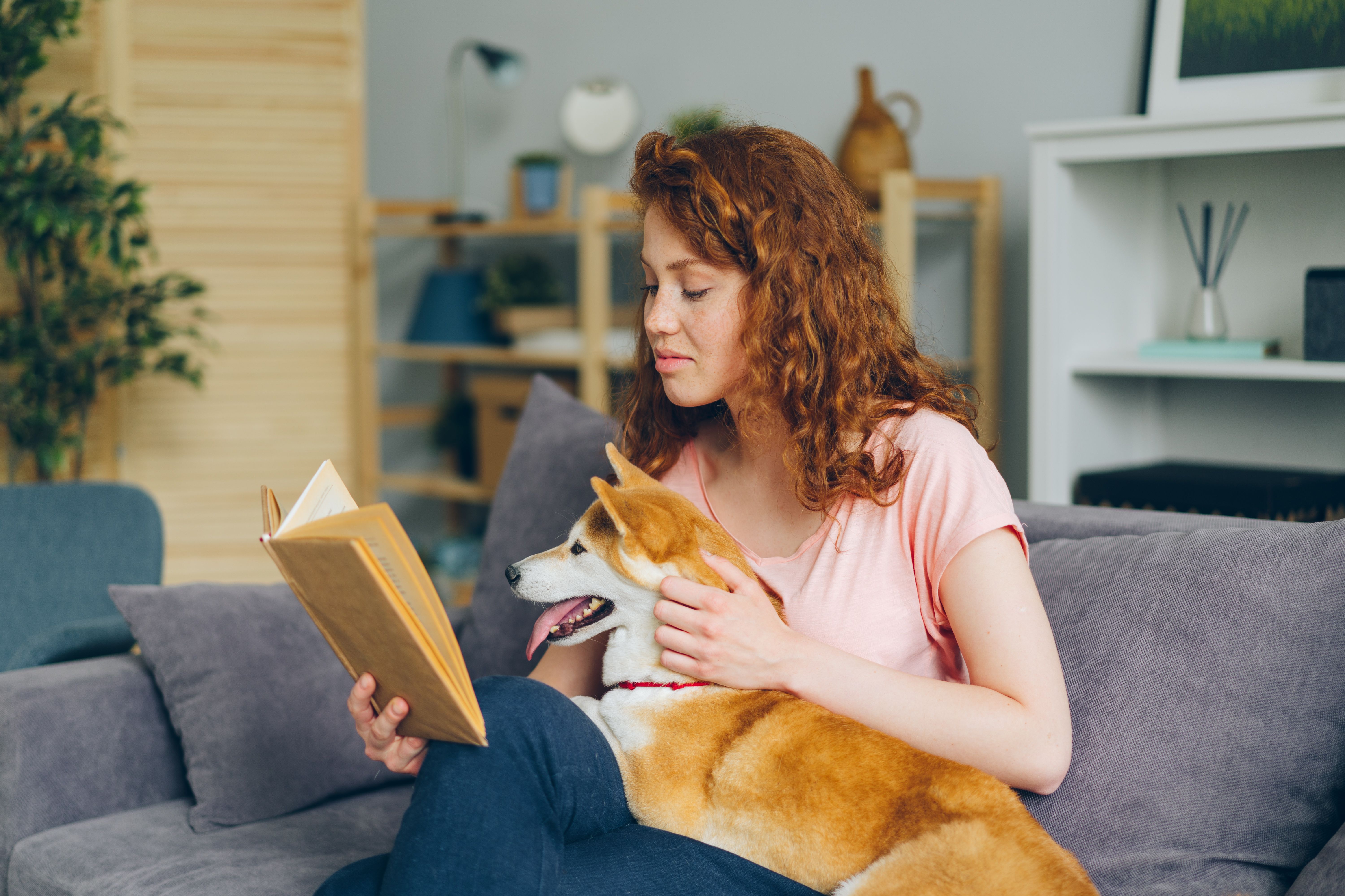 Dog owner reading a transparent ingredient label on a treat bag