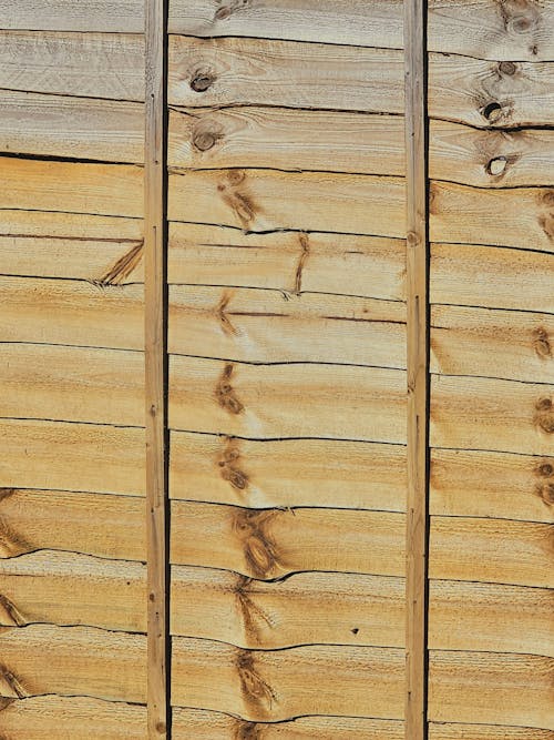 Бесплатное стоковое фото с вертикальный выстрел, дерево, деревянный забор