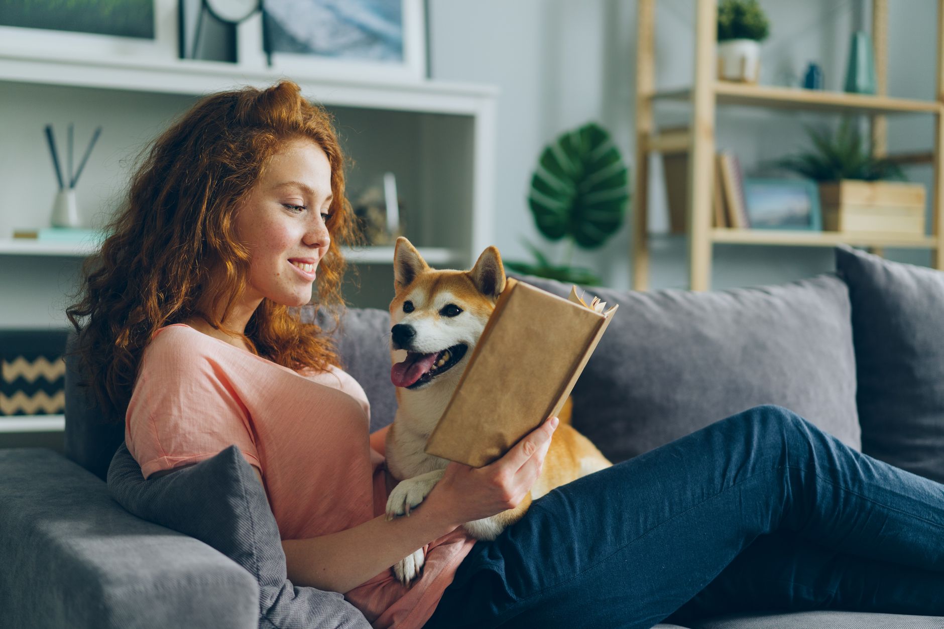 women's fiction books with dogs, cozy indoor reading with a dog on the sofa