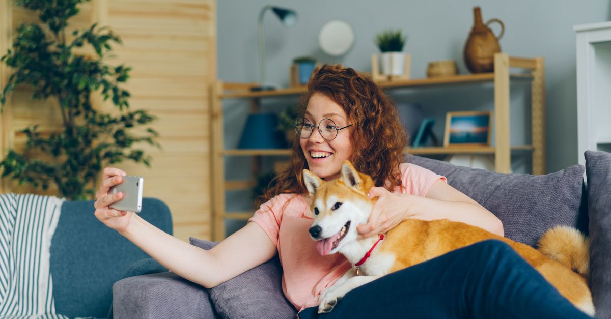 The Best Home Gadgets for Pet Owners