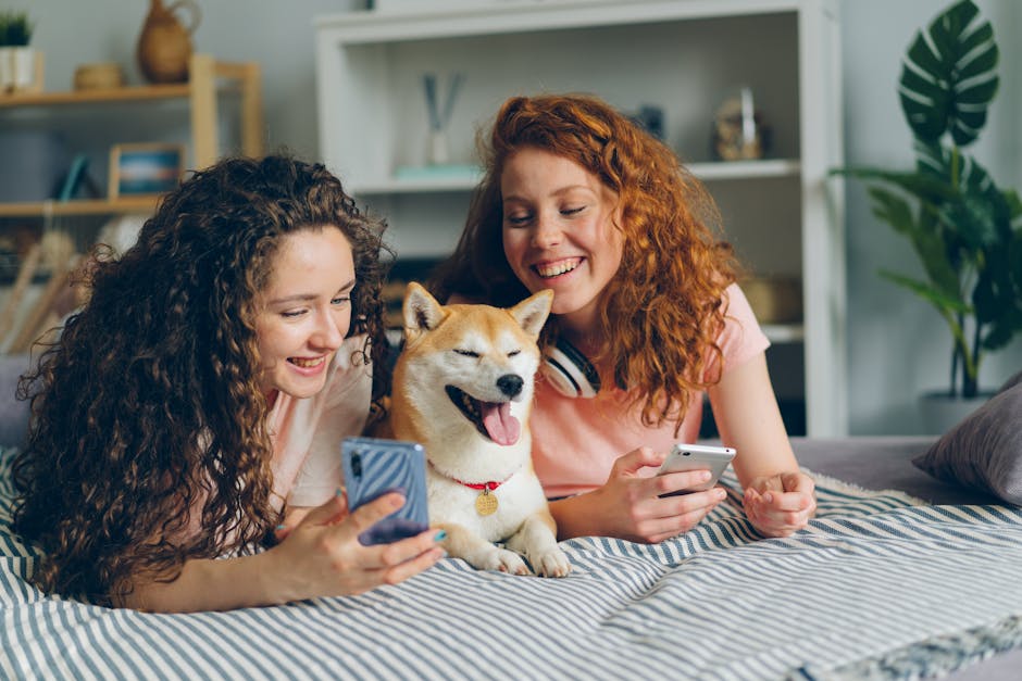 How Can A Tech-Free Bedtime Routine Improve Sleep? 15 Tech-Free Bedtime Activities