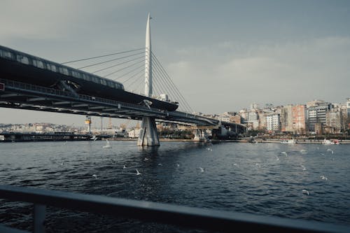 Základová fotografie zdarma na téma bosporský průliv, budovy, Istanbul