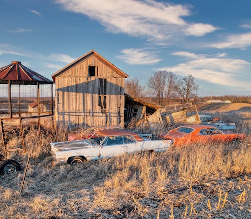 Old cars and a barn in a field