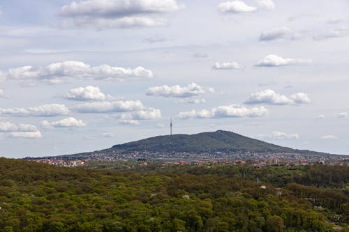 Foto profissional grátis de árvores, avala, edifícios