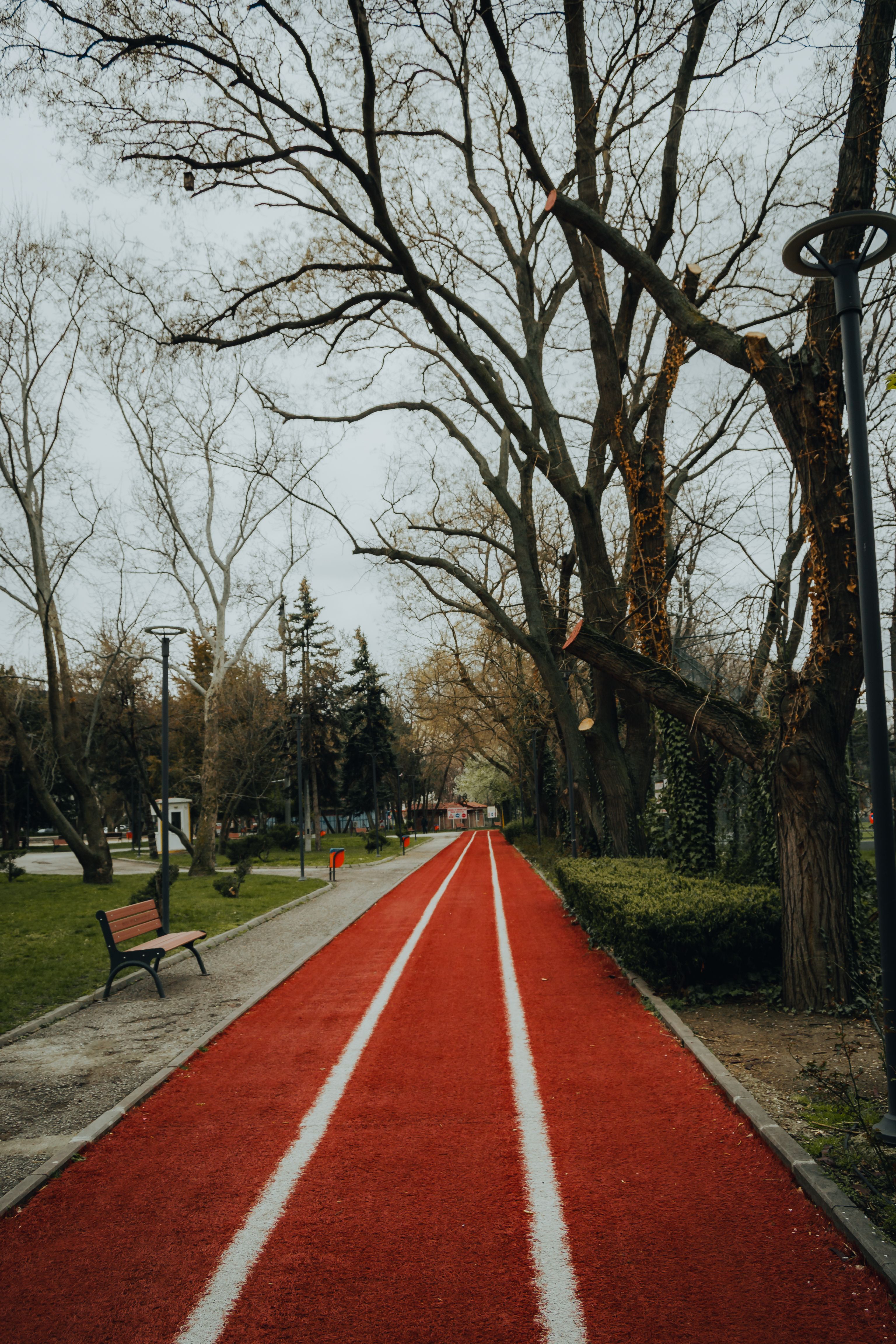 Trees over Athletics Track in Park · Free Stock Photo