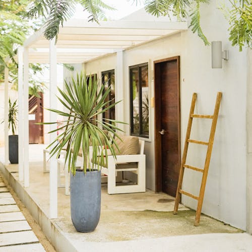 A white house with a ladder and a plant