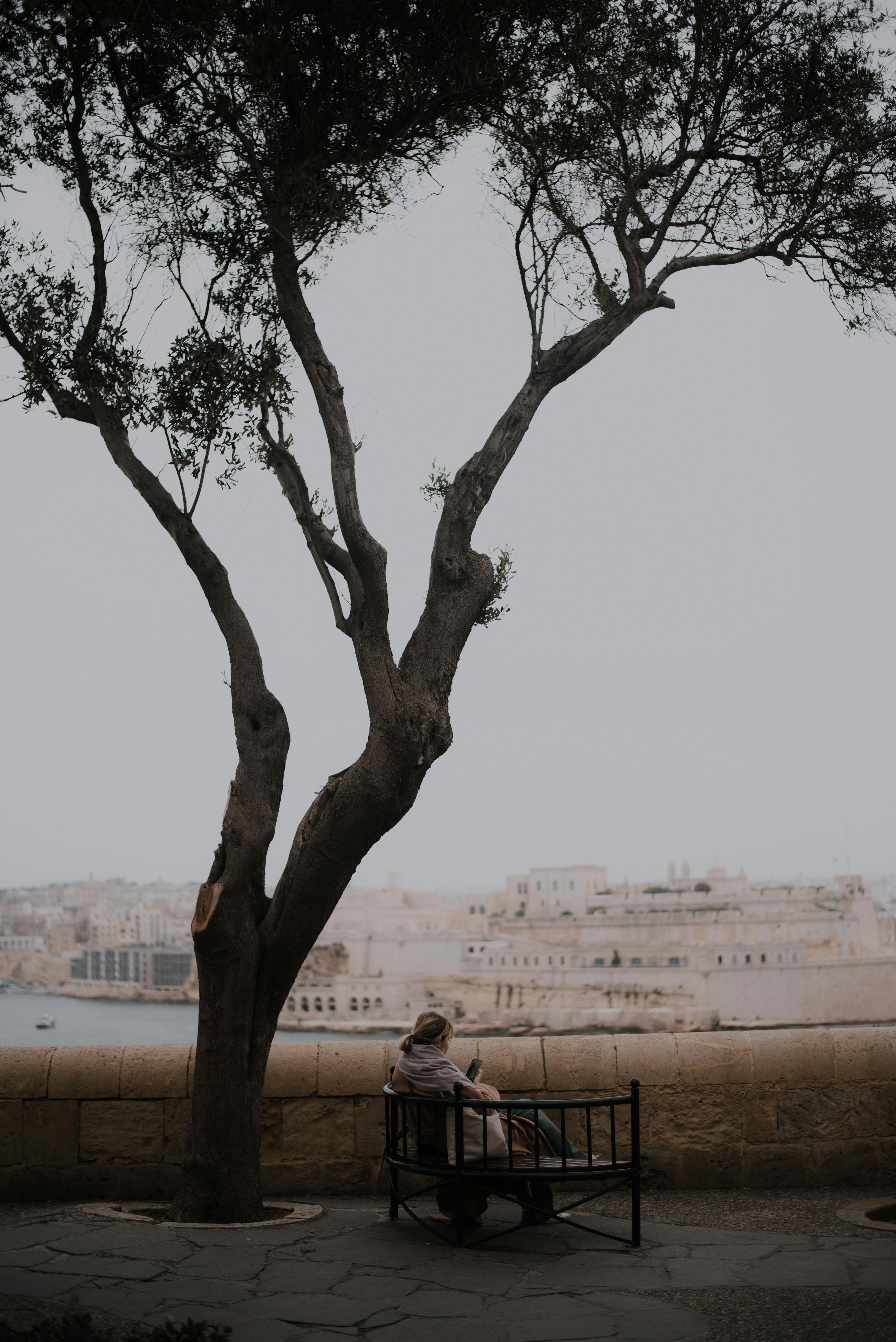 A woman sits on a bench under a tree, overlooking a beautiful historical cityscape by the water.