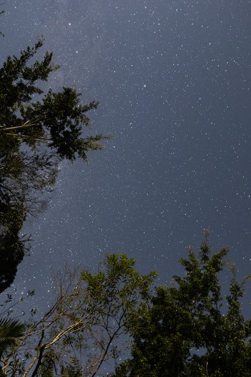 Foto profissional grátis de água, ao ar livre, árvore