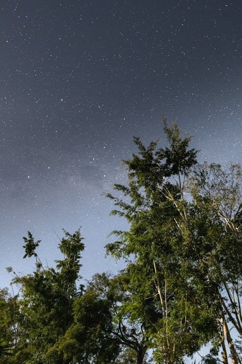 Kostnadsfri bild av kändisar, natthimlen, stjärnfältet