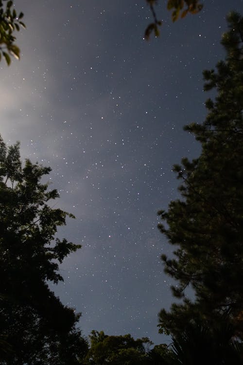 Kostnadsfri bild av himmel, kändisar, mörk