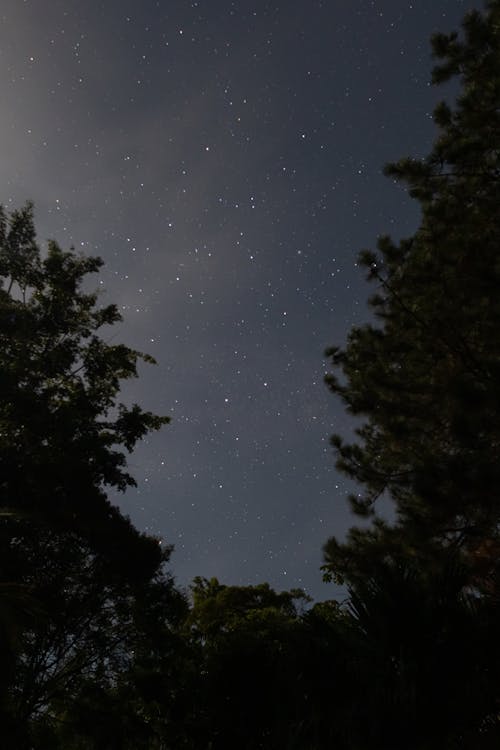 Kostnadsfri bild av himmel, kändisar, mörk