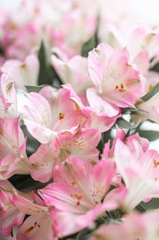 Close-up of delicate pink flowers with green leaves, highlighting their natural beauty.