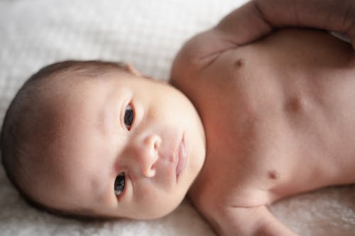 Základová fotografie zdarma na téma baby photoshoot, deka, detail