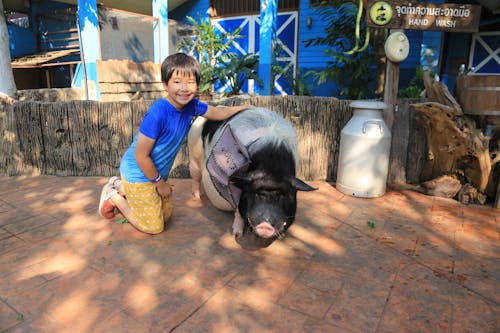 child with pig
