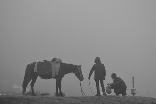 A man and a horse in the fog