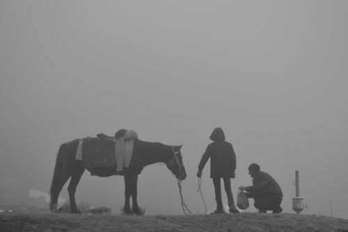 Free Moody black and white silhouette of two figures and a horse enveloped in dense fog, creating a mystical ambiance. Stock Photo