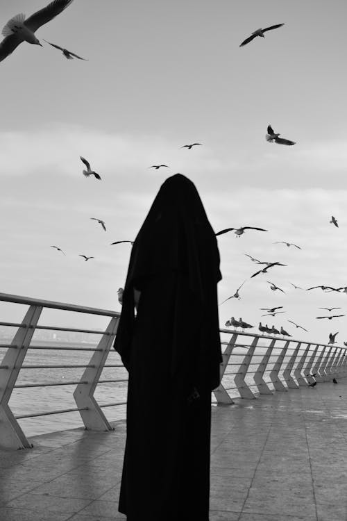 A woman in a black veil stands on a pier with seagulls flying around her