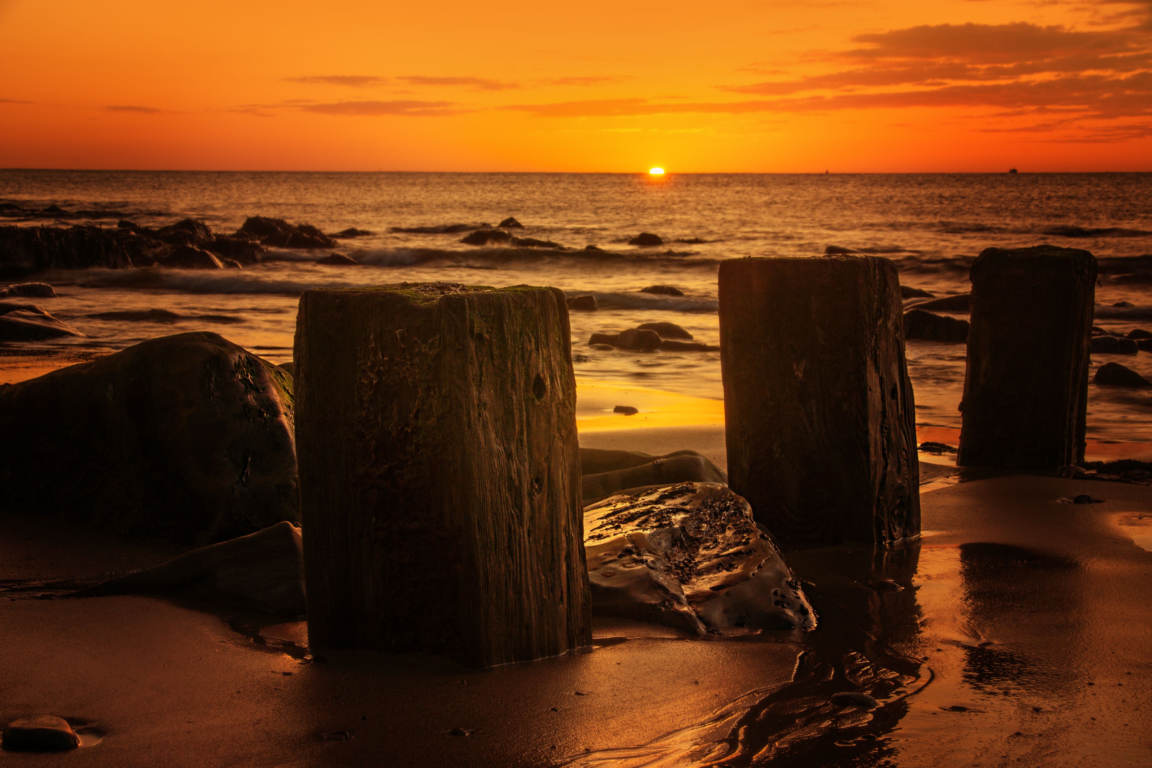 Posts on Beach on Seashore at Sunset · Free Stock Photo