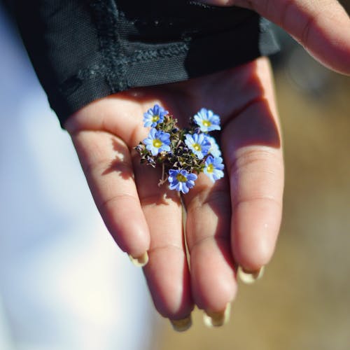 A person holding a small blue flower in their hand