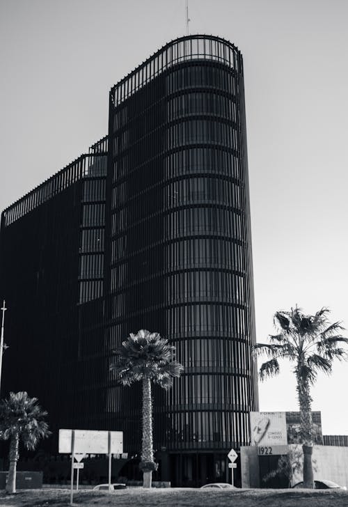 Black and white photo of a tall building