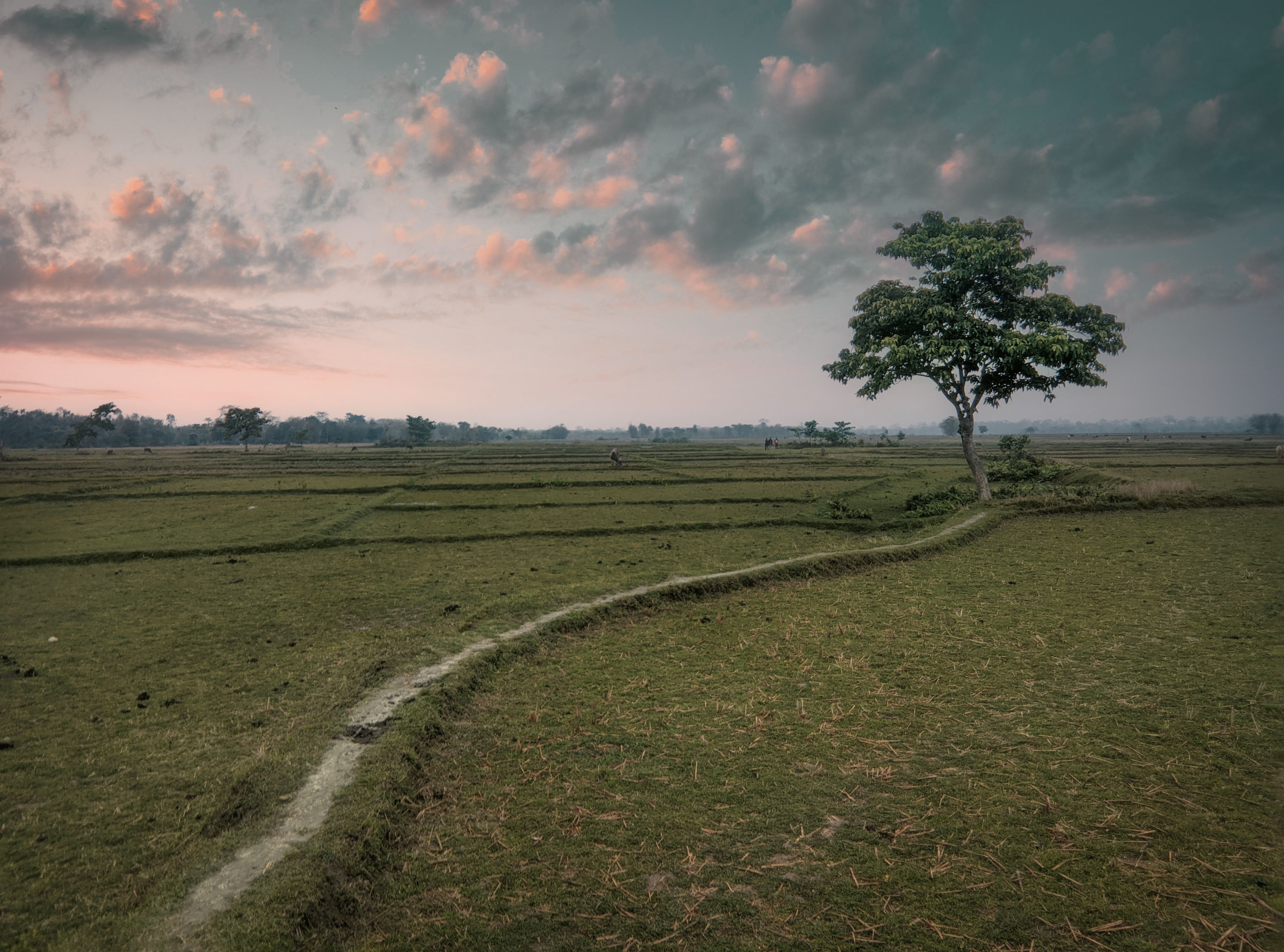 Alipurduar