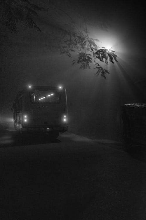 A bus is parked in the fog at night