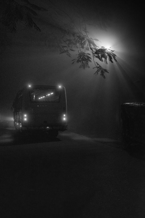 Free A solitary bus under a glowing streetlight on a foggy night creating an eerie atmosphere. Stock Photo