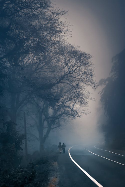 Road in Fog