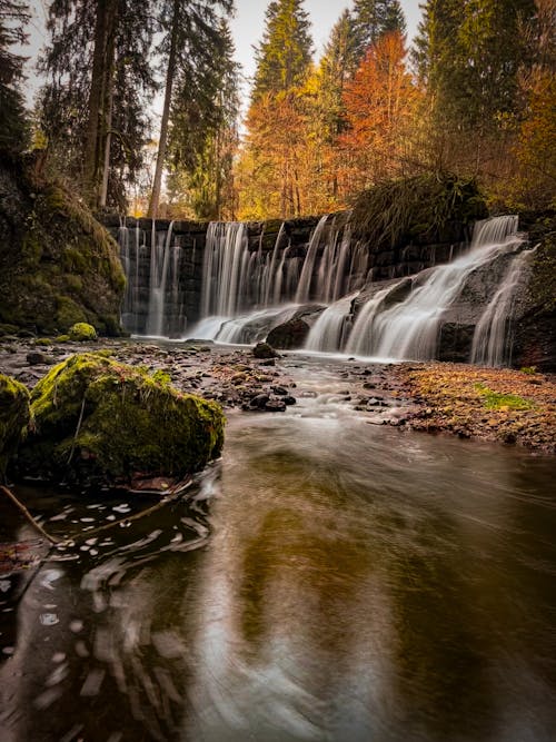 A waterfall in the woods with autumn leaves