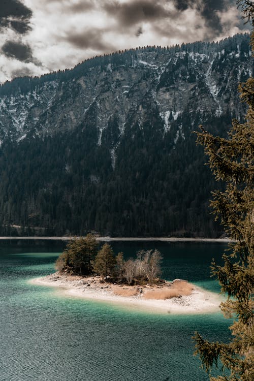 Immagine gratuita di alberi, alpi bavaresi, Baviera