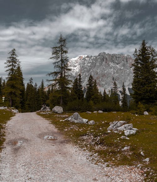 A dirt road leading to a mountain with trees