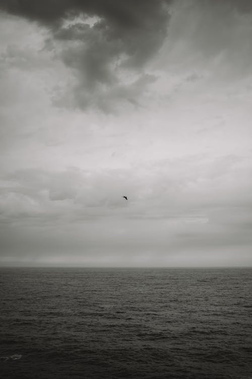 구름, 물, 바다의 무료 스톡 사진