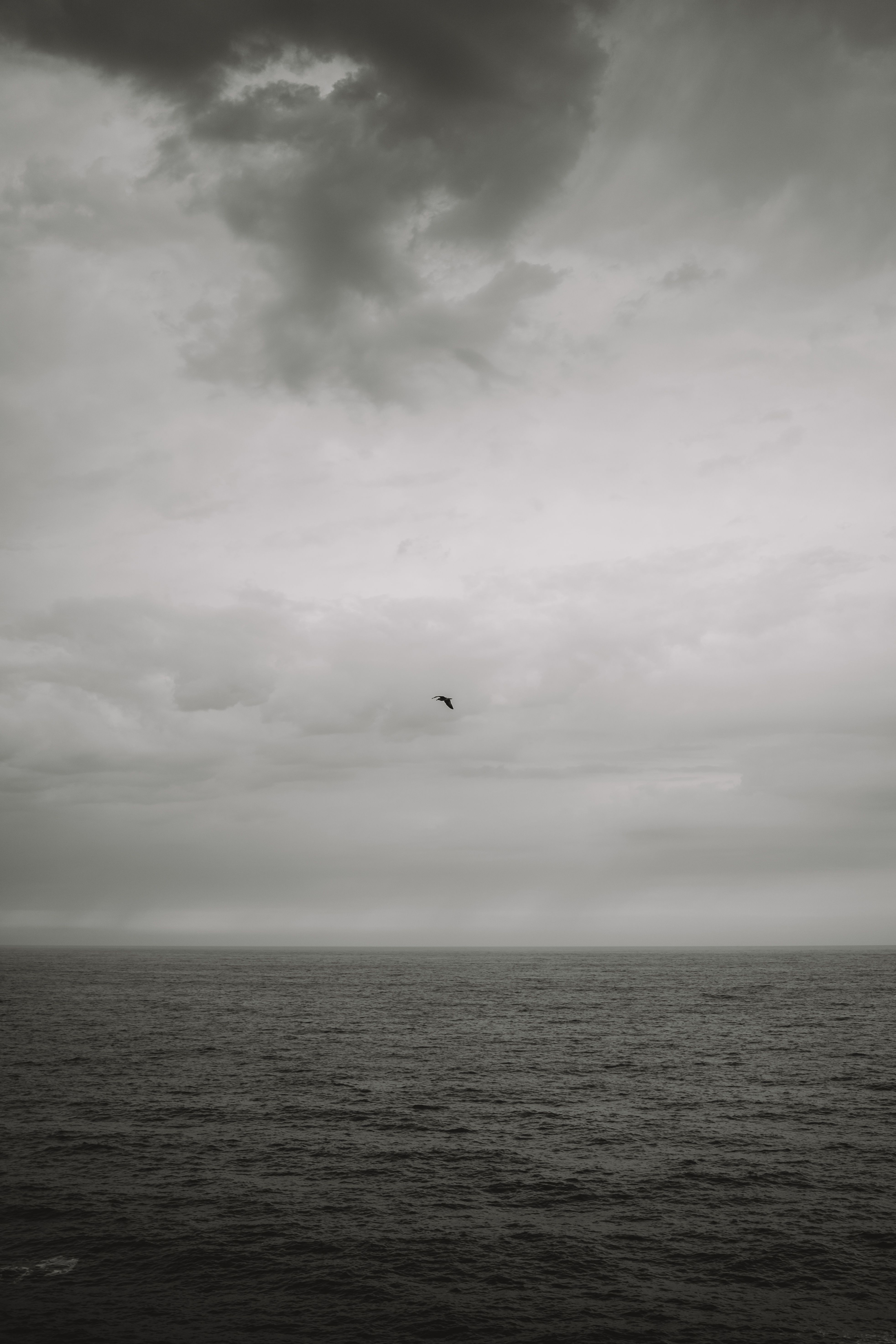 Llanes Black main image 1