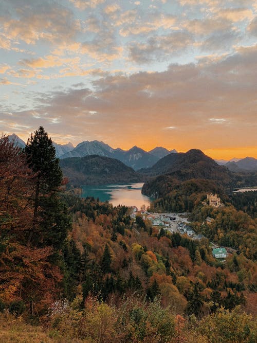 Foto profissional grátis de Alemanha, árvores, Castelo de Neuschwanstein