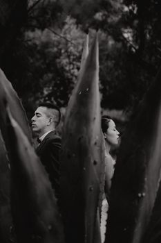 Black and white portrait of a couple in a Guanajuato park, framed by aloe leaves.