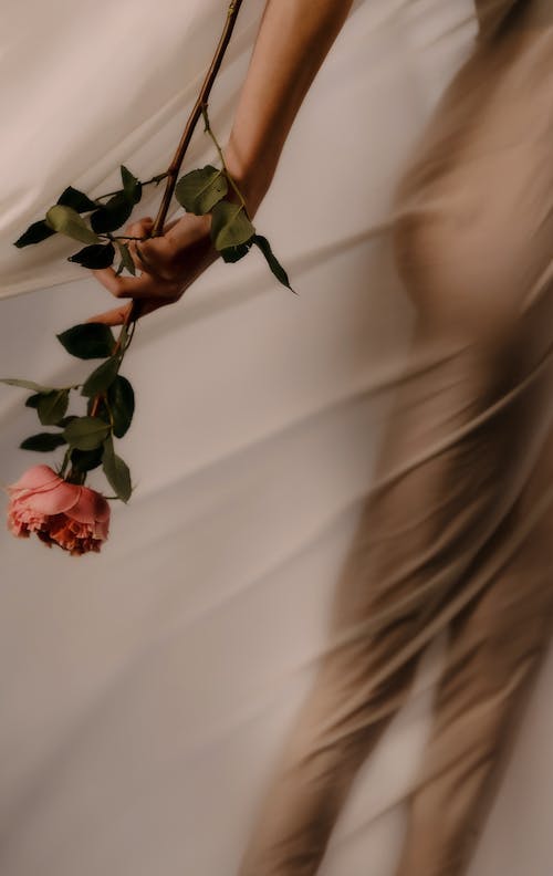 Aşk, bulanıklık, çiçek içeren Ücretsiz stok fotoğraf