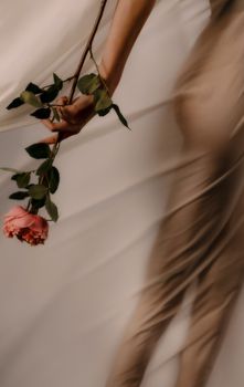 Artistic blurred image of a person holding a rose highlighting elegance and mystery.