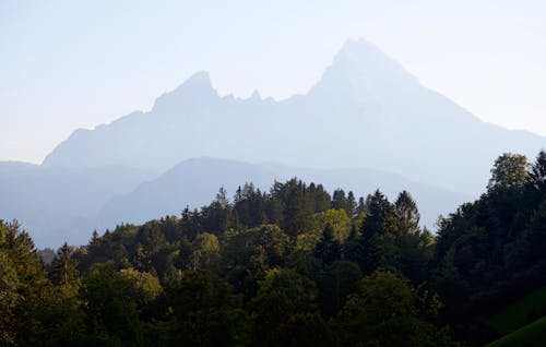 A mountain range with trees and a sky