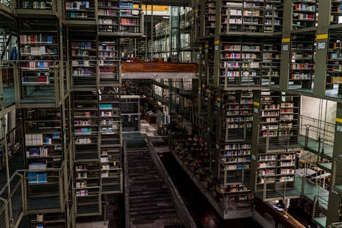 biblioteca vasconcelos, Edebiyat, görülecek yer içeren Ücretsiz stok fotoğraf
