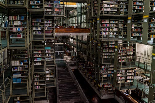 biblioteca Vasconcelos 