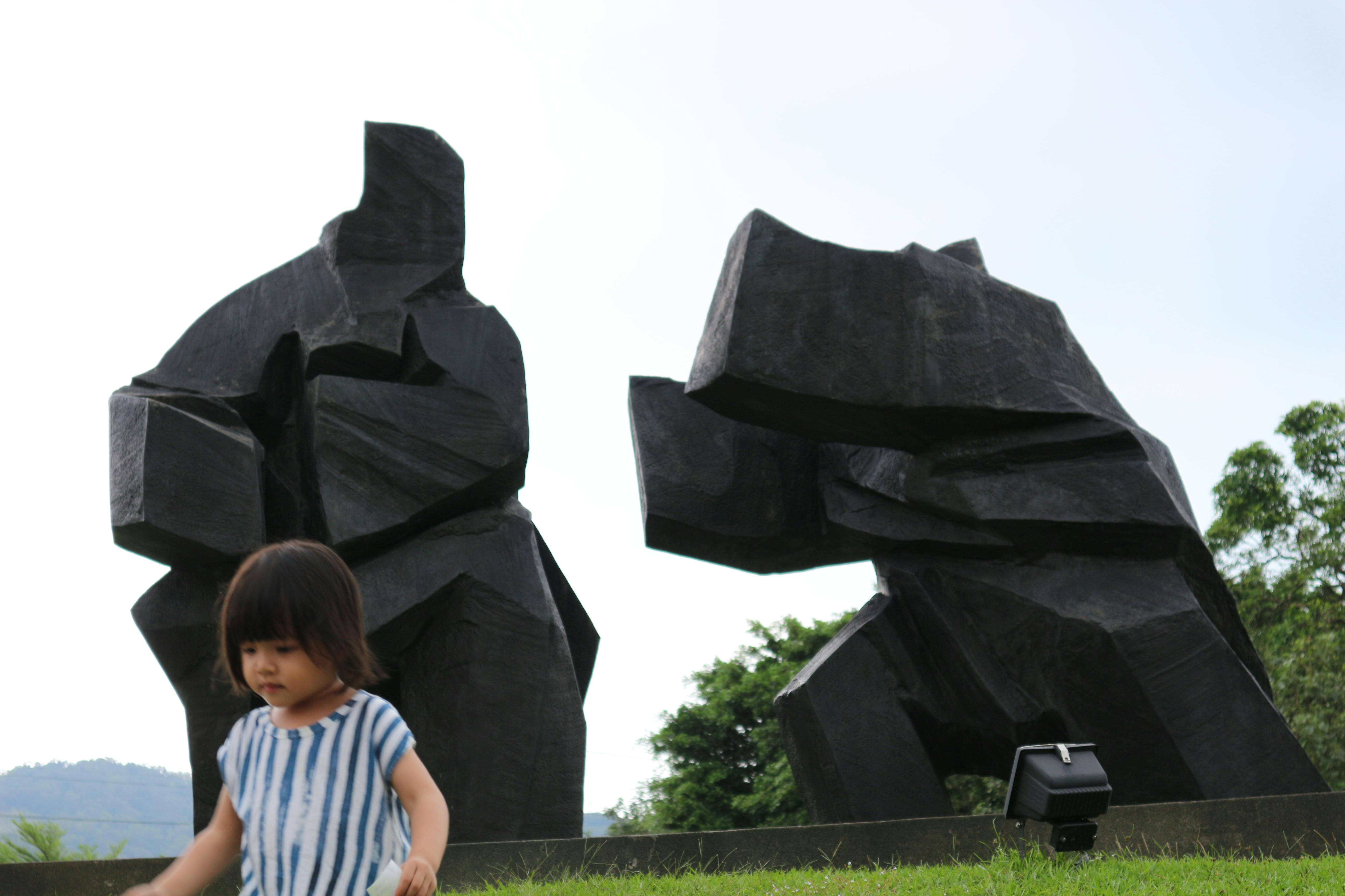 Proyek menara monopole di Puncak Jaya, Papua, dengan latar belakang pegunungan