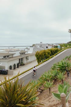 A cyclist rides along a scenic coastal road with ocean views and modern houses.