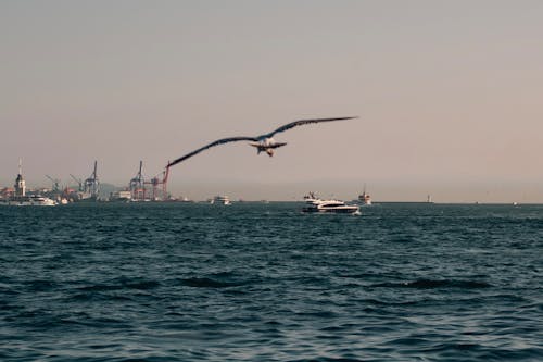 Ilmainen kuvapankkikuva tunnisteilla bosphorusbridge, Istanbul, i̇stanbulin ystäville